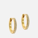 Ted Baker Heplie Gold-Plated Hoop Earrings