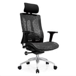 FTFTO Home Accessories Adjustable Office Chair Ergonomic Waist Support And In-Line Wheel Type High Backrest Breathable Mesh Thick Cushion Adjustable Headrest