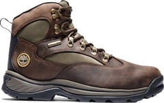 Timberland Men's Chocorua Mid Lace-Up Waterproof Hiking Boot Medium Brown, 43