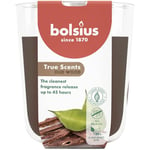 Bolsius True Scents - Oud Wood - Marron - Lot de 6 Bougies Parfumées - 9,7 x 8,5 cm - Durée de combustion: 45 heures - Avec extraits naturels - Cire végétale naturelle - Sans huile de palme