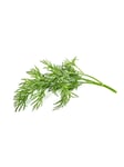 Click & Grow Click and Grow Smart Garden Refill 3-pack - Dill