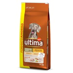 Ultima Medium/Maxi Adult Chicken & Rice - 18 kg