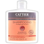 Shampooings Cattier  Shampooing Cheveux Regraissant Vite Vinaigre de Romari