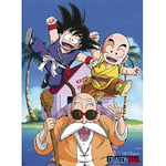 ABYSTYLE - Dragon Ball - Poster (KAME TEAM)