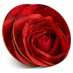 2 x Coasters - Red Rose Macro Shot Water Droplets Home Gift #16707