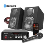 DMS40 Karaoke Speaker Set with Microphone Bluetooth Portable MP3 Music Machine