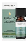 Tisserand Aromatherapy - Siberian Fir Abies Sibirica Wild Crafted (9 ml)