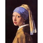 Wee Blue Coo Johannes Vermeer Girl with Pearl Earring Old Master Painting Wall Art Print Mur Décor 30 x 41 cm