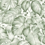 Papier peint jungle Papier peint tropical Papier peint exotique Papier peint chambre Vert Blanc SP04523 366272 - 10,05 x 0,53 m