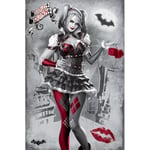 Batman Arkham Knight (Harley Quinn) Plakat