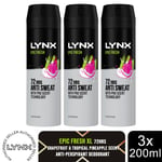 Lynx XL Anti-Perspirant 72-Hour Sweat Protection Deodorant 200ml, 3 Pack