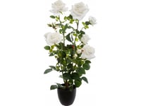 Atmosphera Kunstig Plante I Potte Rosebusk, 74 Cm, Hvit