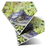 2 x Diamond Stickers 7.5 cm - Baby Alligator Swamp Wild Fun  #2324