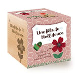 Feel Green Celebrations Ecocube, Goutte De Chocolat, Avec Un Message Gravé De Haute Qualité Une Fête De Noël Douce, Idée CadeauGrow-Your-Own/Kit Prêt-à-Pousser, Plantes dans des Cubes en Bois 7.5cm