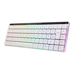 ASUS M603 ROG FALCHION RX LOW PROFILE Wired/Wireless Mechanical Gaming Keyboard,