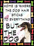 Shawprint Borzoi Dog Fridge Magnet 100mm x 75mm HOME IS WHERE THE DOG HAIR STICKS TO EVERYTHING BUT THE DOG Novelty Gift