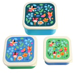 Rex London FAIRIES IN THE GARDEN SNACK BOXES (SET OF 3)