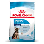 Royal Canin Maxi Puppy - Økonomipakke: 2 x 15 kg