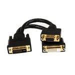 StarTech.com Câble répartiteur en Y / Adaptateur doubleur DVI-I (M) vers DVI-D (F) / VGA (F) de 20cm - Wyse splitter - Noir (DVI92030202L)