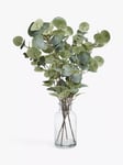 John Lewis Artificial Eucalyptus in Glass Vase, Green