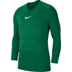 Nike Treningsgenser Park 1STLYR Dry - Grønn/Hvit Barn, størrelse M: 137-147 cm