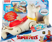 DC League of Superpets - Rev & Res Krypto