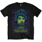 Jimi Hendrix Are You Experienced Afro Text Official Tee T-Shirt Mens Unisex