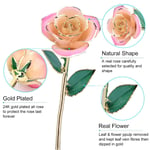 White 24k Gift Gold Rose Forever Long Stem Dipped Rose Handcrafted Gift