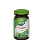 Nature's Way - Gotu Kola Herb, 100 Capsules