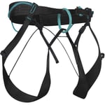 BLUE ICE Choucas Harness Noir XL 2024