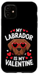 iPhone 11 Chocolate Labrador My Valentines Hearts Day Dog Mom Dad Case