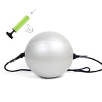 LLHSHA Boxe Réflexes Balle pour Entraînement Vitesse,Boxe Équipement pour Fitness Adulte Enfants Intérieur,Suspension Double Elastique Balleon De Boxe avec Pompe à Air-Argent 180cm