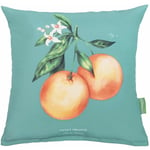 Coussin imprimé d'extérieur, 45x45 cm coussins décoratifs résistants à l'eau, oreillers carrés avec rembourrage en fibres creuses, oreillers de