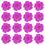 16Pcs Hawaiian Hibiscus Flowers Foam Artificial Flowers Hair Clip Purple