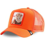 Casquette Goorin Bros  Casquette Homme STRONG KING Orange