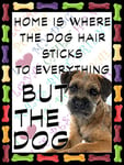 Shawprint Border Terrier Dog Fridge Magnet 100mm x 75mm HOME IS WHERE THE DOG HAIR STICKS TO EVERYTHING BUT THE DOG Novelty Gift