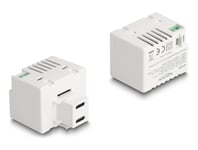 Delock 41479 - Keystone Laddningsmodul 2X Usb Typ-C Pd 20 W Vit (41479)