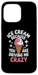 iPhone 14 Pro Max Ice Cream Because You Are Driving Me Crazy Case