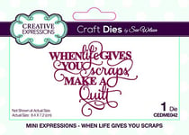 Sue Wilson Mini Expressions - When Life Gives You Scraps Die Set, metal, 8.4 x 7.2 cm, CEDME042