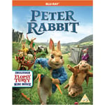 Peter Rabbit