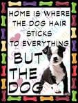 Shawprint Boston Terrier Dog Fridge Magnet 100mm x 75mm HOME IS WHERE THE DOG HAIR STICKS TO EVERYTHING BUT THE DOG Novelty Gift