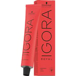 Schwarzkopf Professional Hiusvärit Igora Royal ChocolatesPermanent Color Cream 3-68 Dunkelbraun Schoko Rot 60 ml (758,67 € / 1 l)