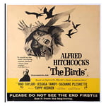 Lumartos, Vintage Poster Vintage Hitchcock The Birds Poster Contemporary Home Decor Wall Art Print, Print Only Frame, 10 x 10 Inches