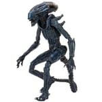 ALIEN VS PREDATOR - Arachnoid Alien Action Figure Neca