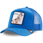 Casquette Goorin Bros  Casquette Homme STRONG WOLF