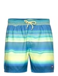 Mens Placement Leisure 16" Watershort Blue Speedo