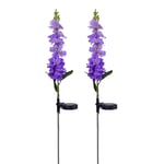 Purple (Two Pack) Led Solar Violet Landscape Lights Holiday Decoration Led So