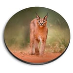 Round MDF Magnets - Caracal African Lynx Cat #3170