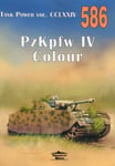 PzKpfw IV Sd. Kfz. 161 Colour - Tank Power vol. CCLXXIV No. 586