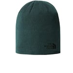 THE NORTH FACE Bones Recycled Beanie Hat Ponderosa Green One Size